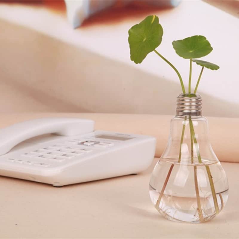 Ampoule Vase hydroponique en verre_2