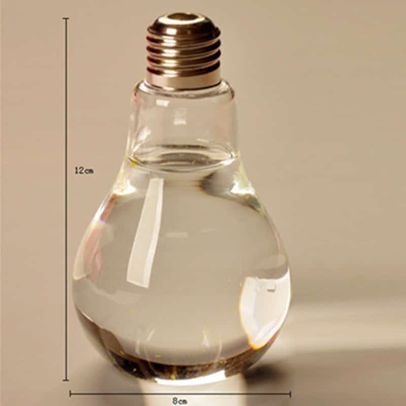 Ampoule Vase hydroponique en verre_3