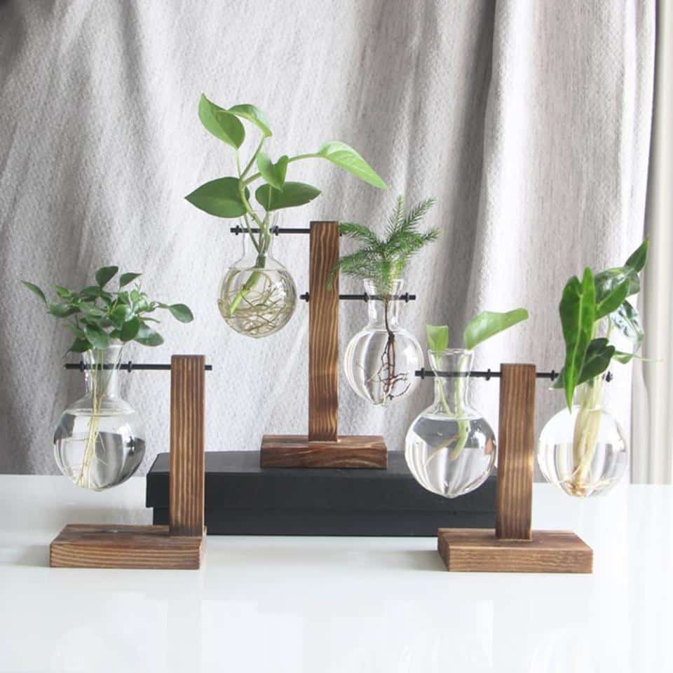 Vase hydroponique en verre et bois_3