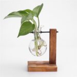 Vase hydroponique en verre et bois_7