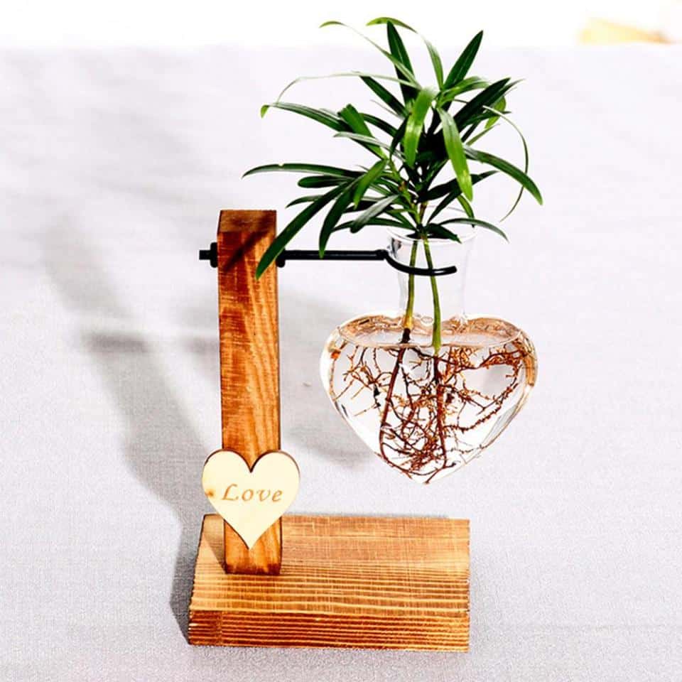 Vase hydroponique en verre et bois Cœur Simple