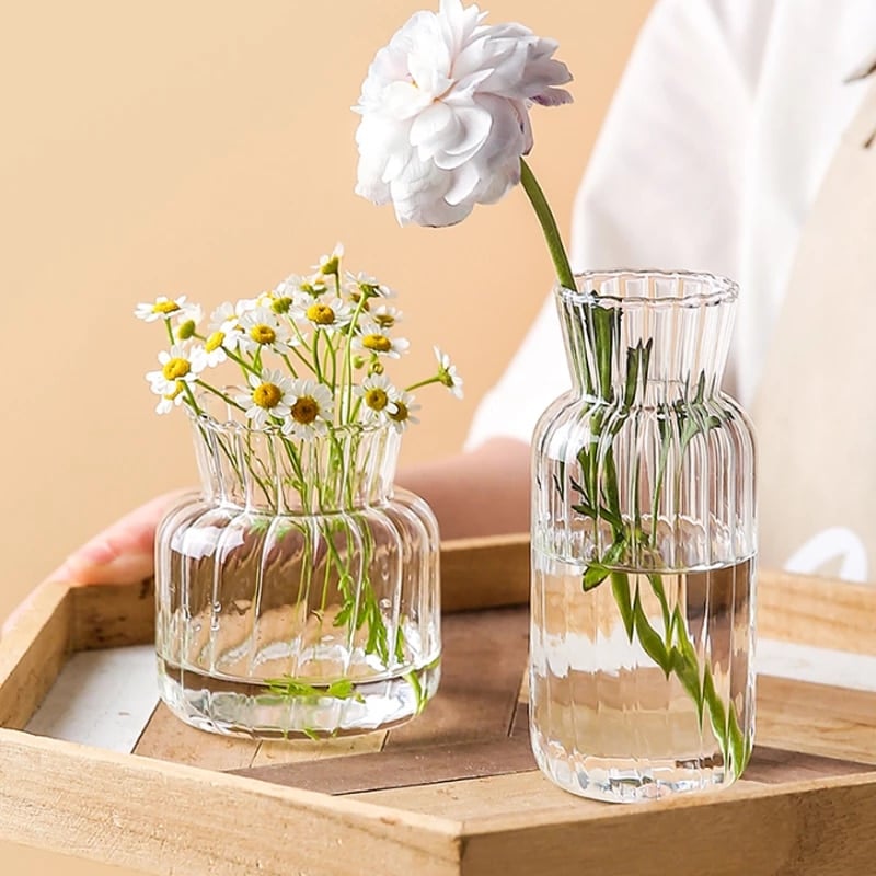 Transparent Glass Vases for Plant Bottle Flower Pot Nordic Creative Hydroponic Terrarium Arrangement Container Flower Table Vase_1