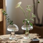 Vase de décoration en verre en forme de champignon hydroponique_6