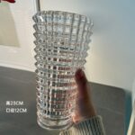 Vase décoratif de design nordique en verre Transparent pour salon_16