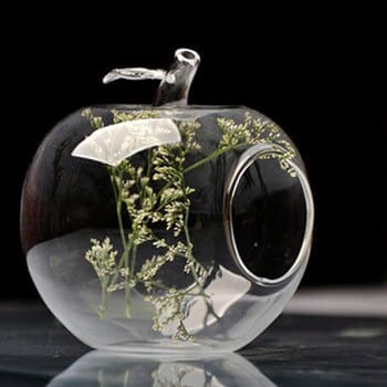 Vase décoration pour maison en forme de poire ou de pomme Pomme