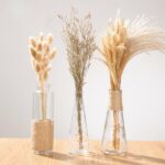 Vase en verre Transparent à style nordique pour décoration de salon_10