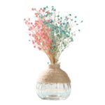 Vase en verre Transparent à style nordique pour décoration de salon_16