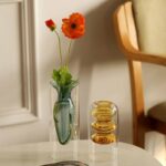 Vase en verre double transparent moderne pour salon_8