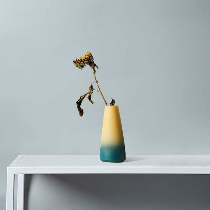 Vase nordique bicolore nouvelle collection B