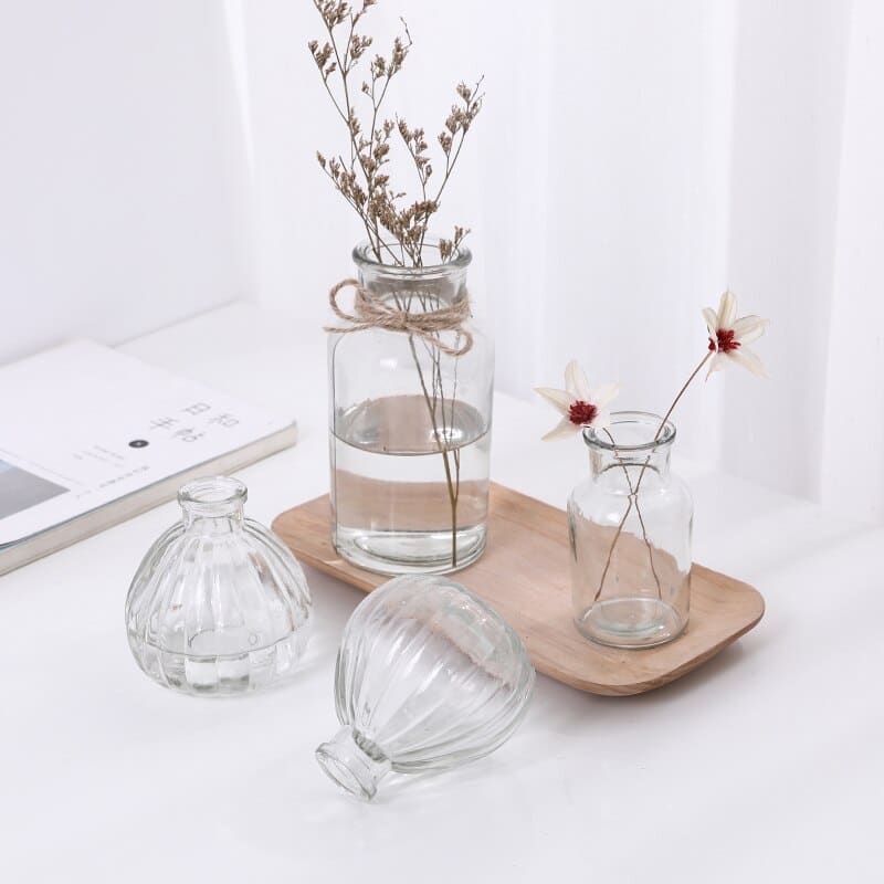 Vase simple en verre Transparent pour fleurs séchées_2