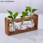 Vases à plantes hydroponiques en bois pour décoration maison_10