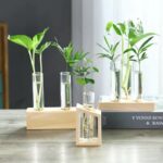 Vases à plantes hydroponiques en bois pour décoration maison_12