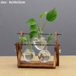 Vases à plantes hydroponiques en bois pour décoration maison_15