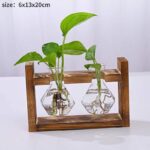 Vases à plantes hydroponiques en bois pour décoration maison_17