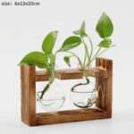 Vases à plantes hydroponiques en bois pour décoration maison_18