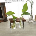 Vases à plantes hydroponiques en bois pour décoration maison_21