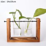 Vases à plantes hydroponiques en bois pour décoration maison_22