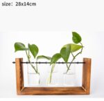 Vases à plantes hydroponiques en bois pour décoration maison_23