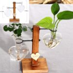 Vases à plantes hydroponiques en bois pour décoration maison_24