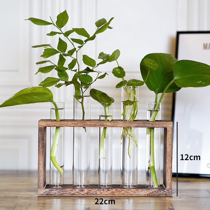 Vases à plantes hydroponiques en bois pour décoration maison_4