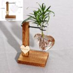 Vases à plantes hydroponiques en bois pour décoration maison_42