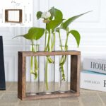 Vases à plantes hydroponiques en bois pour décoration maison_45