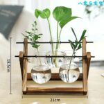Vases à plantes hydroponiques en bois pour décoration maison_47
