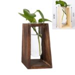 Vases à plantes hydroponiques en bois pour décoration maison_48