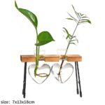 Vases à plantes hydroponiques en bois pour décoration maison_5