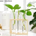 Vases à plantes hydroponiques en bois pour décoration maison_52