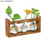 Vases à plantes hydroponiques en bois pour décoration maison_6