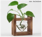 Vases à plantes hydroponiques en bois pour décoration maison_8