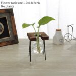 Vases à plantes hydroponiques en bois pour décoration maison_9