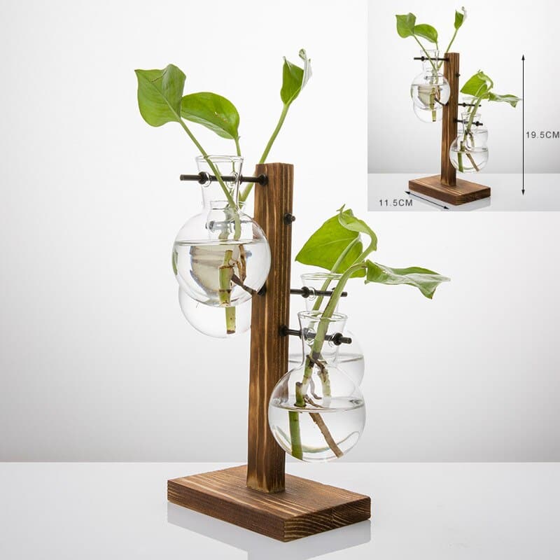 Vases à plantes hydroponiques en bois pour décoration maison Chine