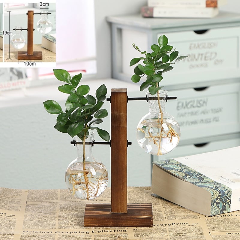 Vases à plantes hydroponiques en bois pour décoration maison Chine__