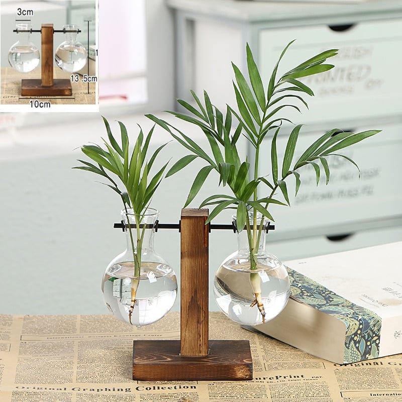 Vases à plantes hydroponiques en bois pour décoration maison Chine____